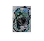 Uszczelki silnika komplet HONDA FES JAZZ 250