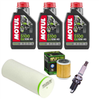 YAMAHA YFM 350 RAPTOR WOLVERINE olej+filtry+świeca