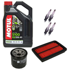 SUZUKI GSF 600 BANDIT 00-04 olej+filtry+świece