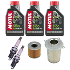 SUZUKI GS 500 E 89-02 olej+filtry+świece