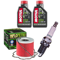 SUZUKI GSX 250 E KATANA 80-84 olej+filtr+świeca-55487