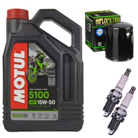 HARLEY DAVIDSON XL 1200 SPORT- olej+filtr+świece-55687