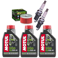 SUZUKI DR 750 S BIG 88-89 olej+filtr+świece