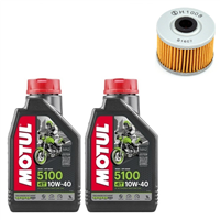HONDA NX 650 DOMINATOR 88-02 olej+filtr-90055