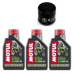 SUZUKI DL 650 V-STROM K4-K6 04- olej+filtr