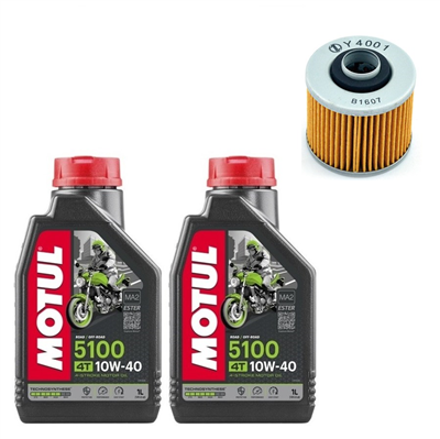 YAMAHA XVS 250 DRAG-STAR 00-04 olej+filtr-90113