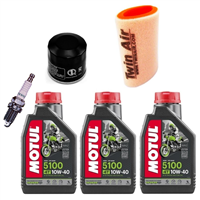 YAMAHA YFM 350 450 GRIZZLY 2007- olej + filtry + świeca