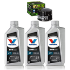 BMW F 800 S / ST / TOURING 06-12 olej+filtr