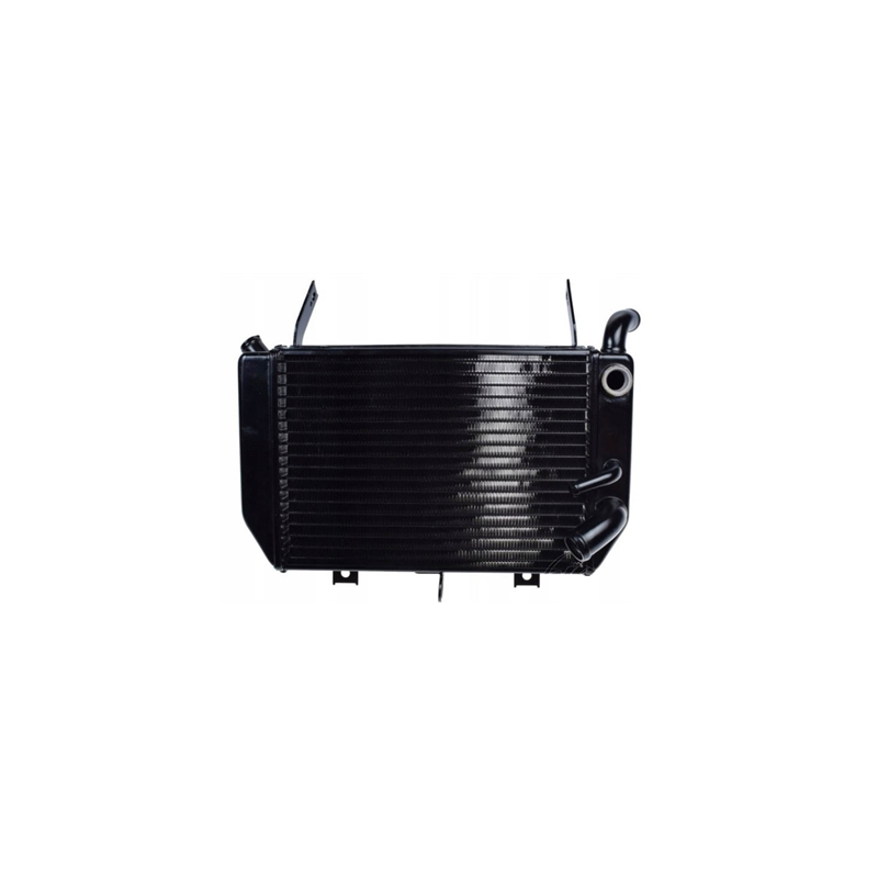 CHŁODNICA CIECZY WODY SUZUKI TL 1000 R 98-01-62881