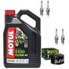 BMW R 1200 R1200 HP2 ENDURO 05-08 MEGAMOTO 07-11 olej+filtr+świece