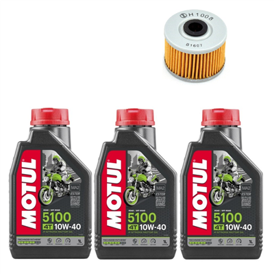 HONDA SLR 650 VIGOR (RD09) 97-00 olej+filtr-90093
