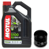 HONDA ST 1300 PAN-EUROPEAN 01-15 olej+filtr-90257