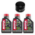 BMW F 800 S / ST / TOURING 06-12 olej+filtr-90541