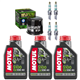 HONDA CBR600 F F4i 2001-2007 FS SPORT 2001-2002 olej + filtr HF204 + świece-99824