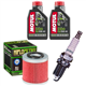 HUSQVARNA SM 450 R 03-07 TC 01-07 TE 2002-2007 olej + filtr HF154 + świeca-55601