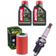 KYMCO 125 DINK / GRAND-DINK 2001-2013 olej + filtr HF562 + świeca-55607