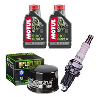 YAMAHA YFM 660 R RAPTOR 2001-2005 olej + filtr HF147 + świeca