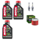 BMW G 650 G650 GS 2009-2016 GS SERTAO 2011-2014 olej + filtr HF151 + świece-104054