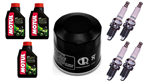 YAMAHA FZ6 600 FAZER 2007-2010 olej + filtr HF204 + świece U27ETR