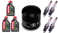 HONDA CBF 600 N NA  S SA 2008-2012 olej + filtr HF204 + świece U24FER9-100588