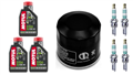 HONDA CBR 600 F4i 2001-2006 olej MOTUL 5100 + filtr HF204 + świece IUH27-100587