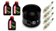 HONDA CBR 600 RR C-ABS 2009-2014 olej + filtr HF204 + świece IMR9E-9HES-20419