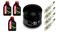 HONDA CBR 600 RR C-ABS 2009-2014 olej + filtr HF204 + świece IMR9E-9HES-20419