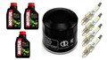 HONDA CBR 600 RR C-ABS 2009-2014 olej + filtr HF204 + świece IMR9E-9HES-20419