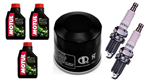 HONDA FJS 400 600 SILVER WING 2001-2013 olej + filtr HF204 + świece U24FER9