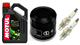 YAMAHA XVS 950 MIDNIGHT STAR 2009-2015 olej + filtr HF204 + świece CPR7EA-9-31296