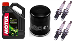 YAMAHA FJR 1300 A AE AS 2001-2012 olej + filtr HF148 + świece U24ESR-N x4
