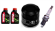 HONDA NSS 250 FORZA X EX-8 A S 08-12 olej + filtr HF204 + świeca X22EPR-U9-31343