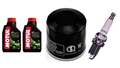HONDA NSS 250 FORZA X EX-8 A S 08-12 olej + filtr HF204 + świeca X22EPR-U9-31343