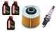 YAMAHA SZR 660 1996-1998 olej MOTUL 5100 + filtr HF145 + świeca X27EPR-U9-31711