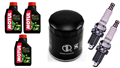 HARLEY DAVIDSON FXD DYNA 1999-2014 olej + filtr HF171B + świece XU22EPR-U-31944