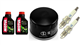 PEUGEOT 500 SATELIS 2007-2013 olej MOTUL 5100 + filtr HF184 + świece CR7EKB-31819