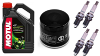 TRIUMPH DAYTONA 600 2002-2004 olej MOTUL 5100 + filtr HF191 + świece U27ETR-31822