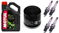 TRIUMPH DAYTONA 600 2002-2004 olej MOTUL 5100 + filtr HF191 + świece U27ETR-31822